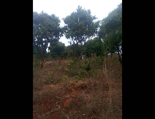 50,000M² FARM FOR SALE IN NGOVHELA